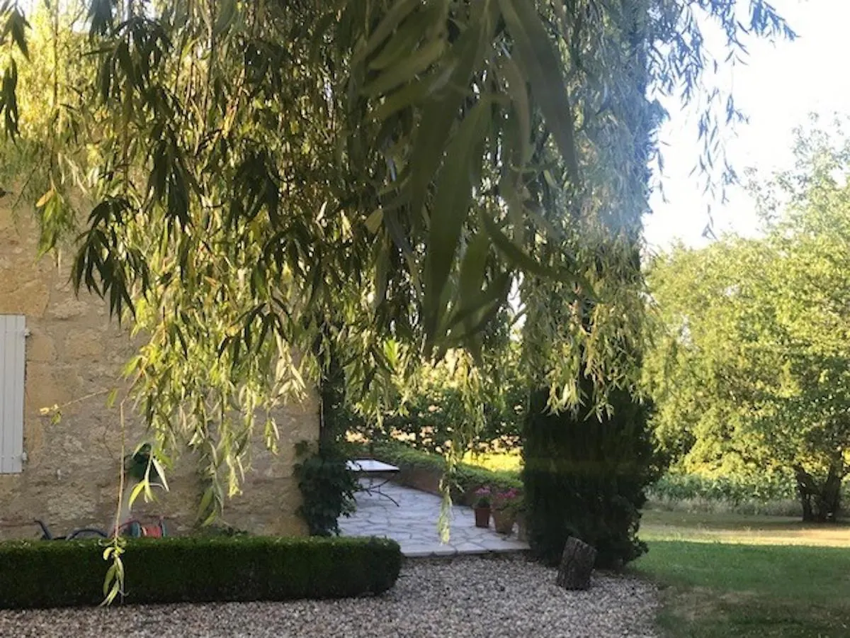 Villa Charmante A Dunes Avec Piscine Privee Γαλλία